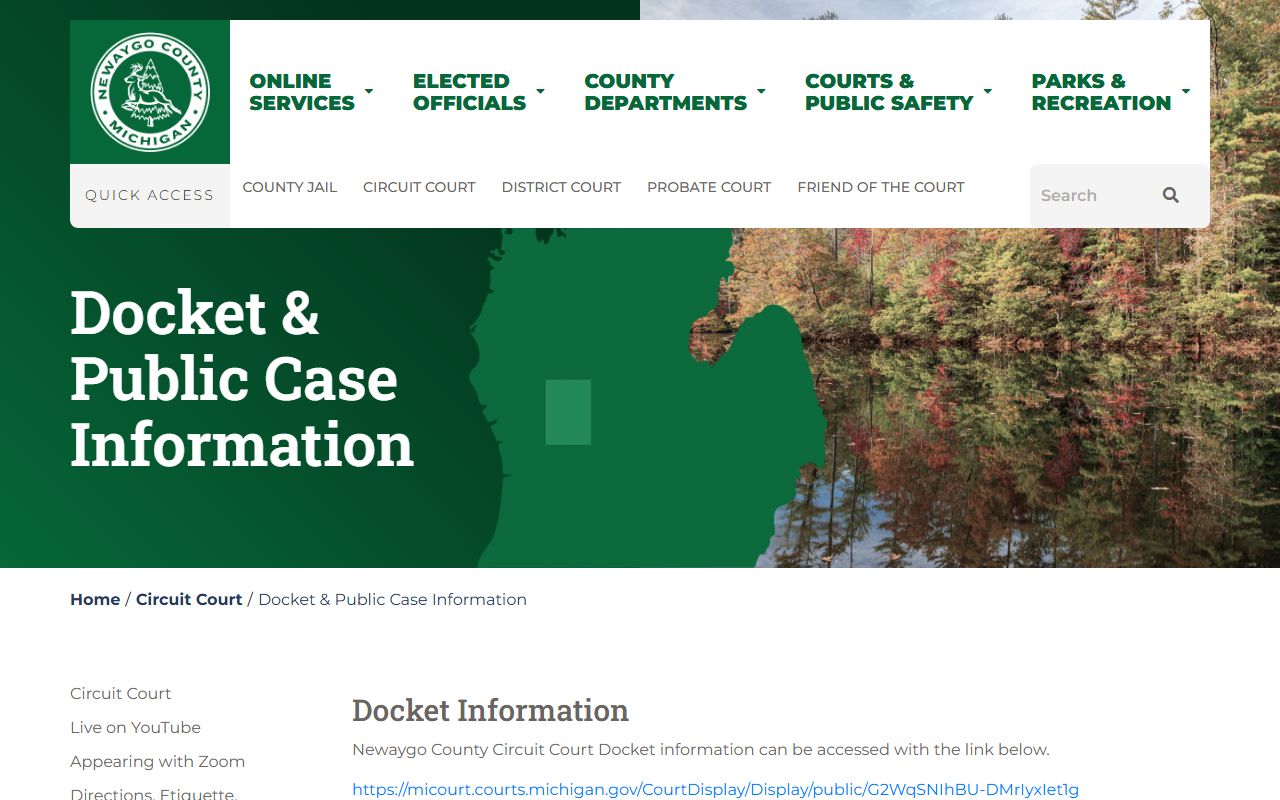 Newaygo County docket public case information court docket