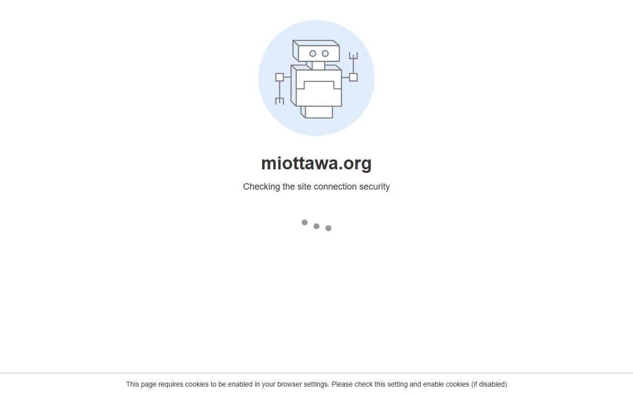 Ottawa County official website for court docket access